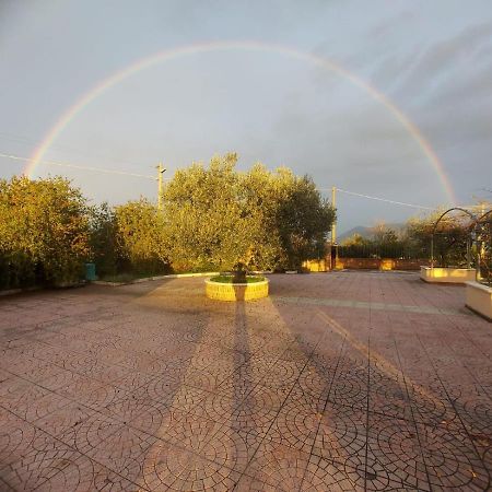 Lisandro Wine Resort Apartments Caserta Castel Campagnano Exteriör bild