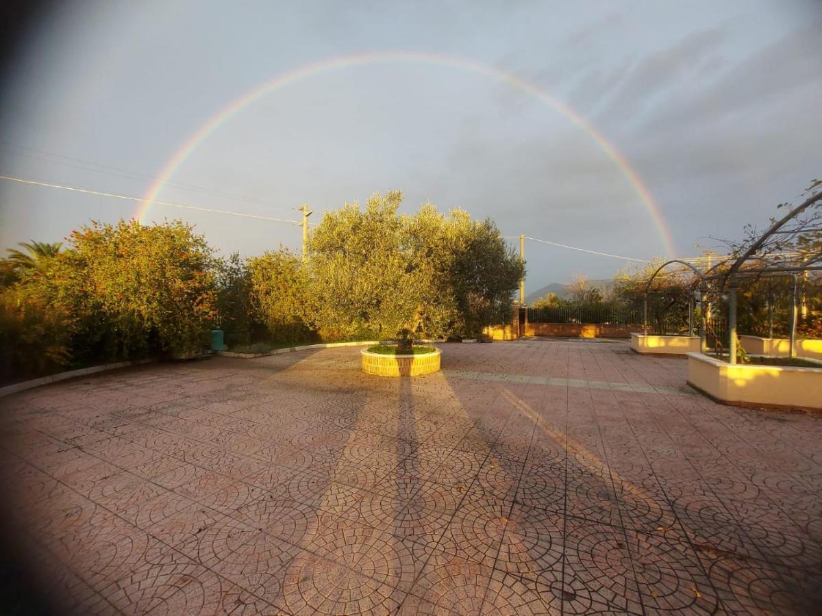 Lisandro Wine Resort Apartments Caserta Castel Campagnano Exteriör bild