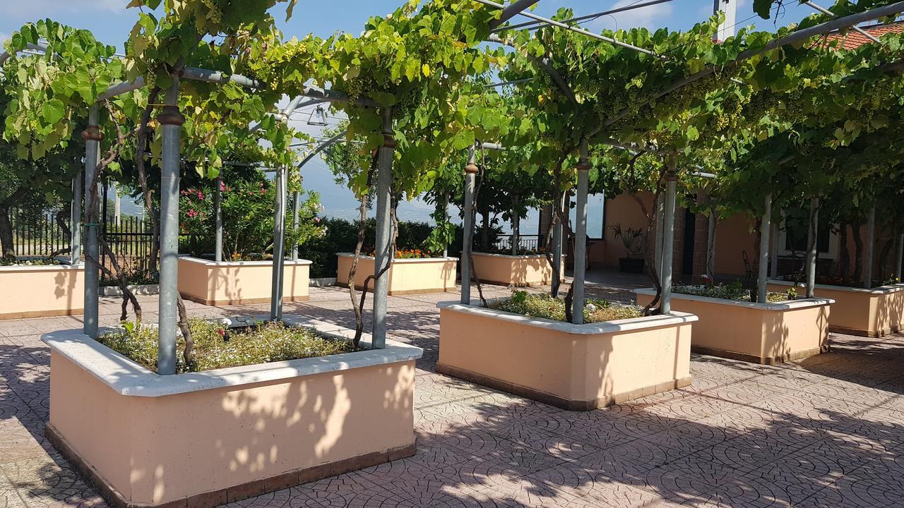 Lisandro Wine Resort Apartments Caserta Castel Campagnano Exteriör bild