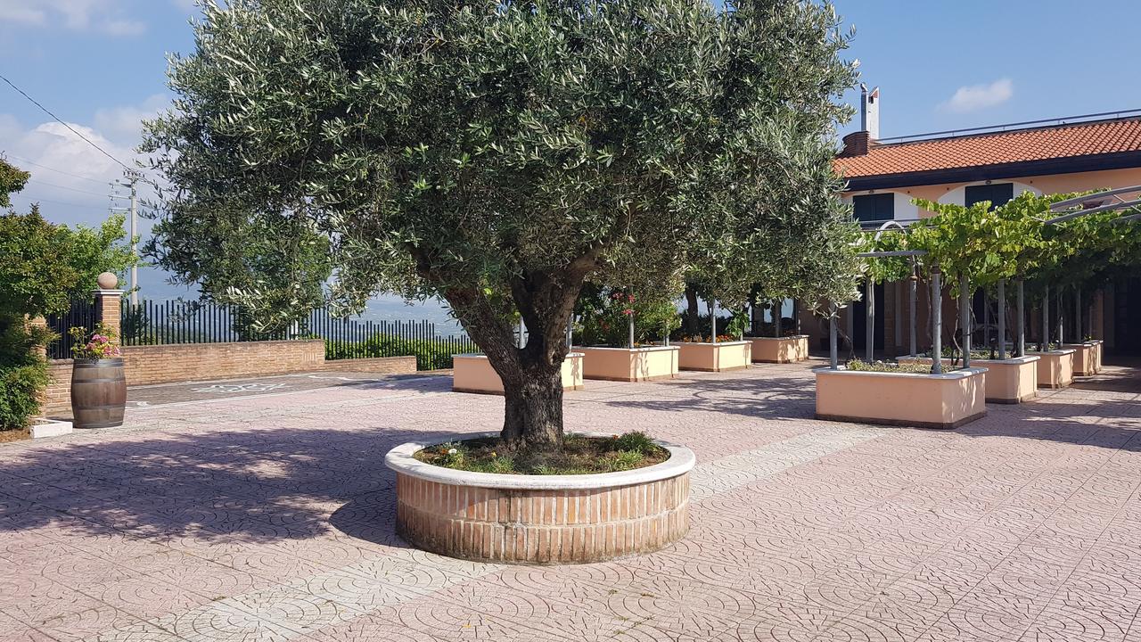 Lisandro Wine Resort Apartments Caserta Castel Campagnano Exteriör bild