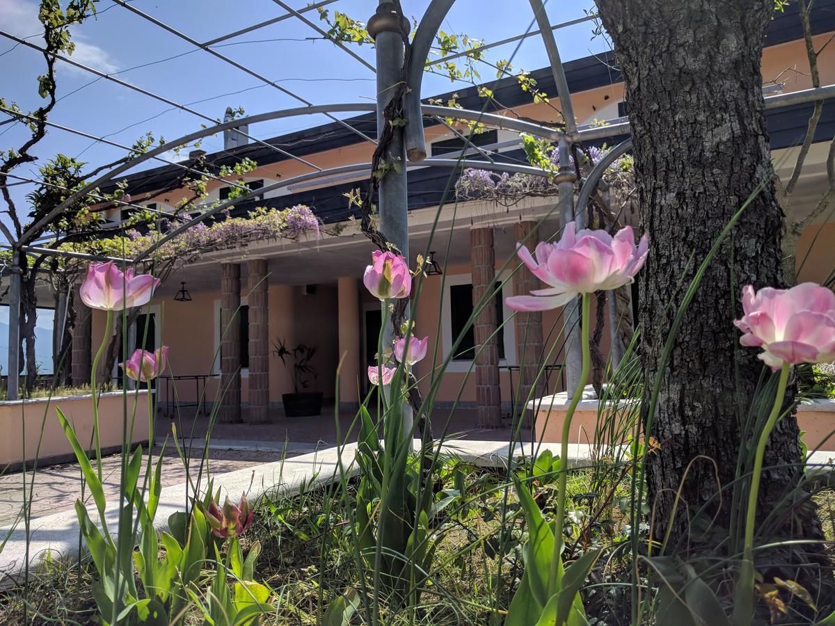 Lisandro Wine Resort Apartments Caserta Castel Campagnano Exteriör bild